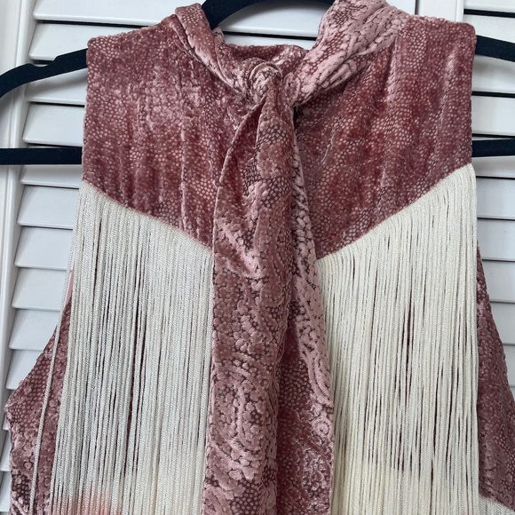 ALEXIS Cream/Blush Fringed Velvet Mini Dress (NEW WITH TAGS) - Picture 7 of 7